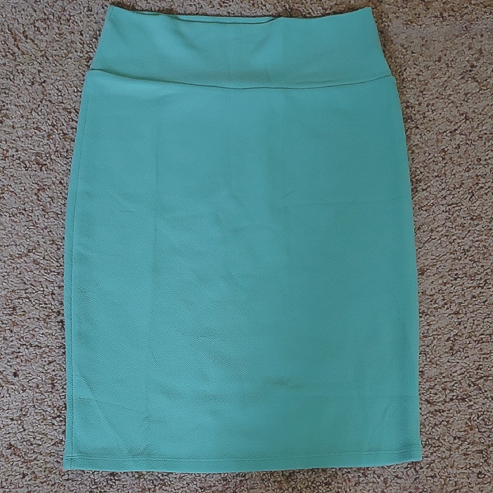 #CAS22 (CH) NWOT LuLaRoe Mint Knee-Length Pencil Skirt